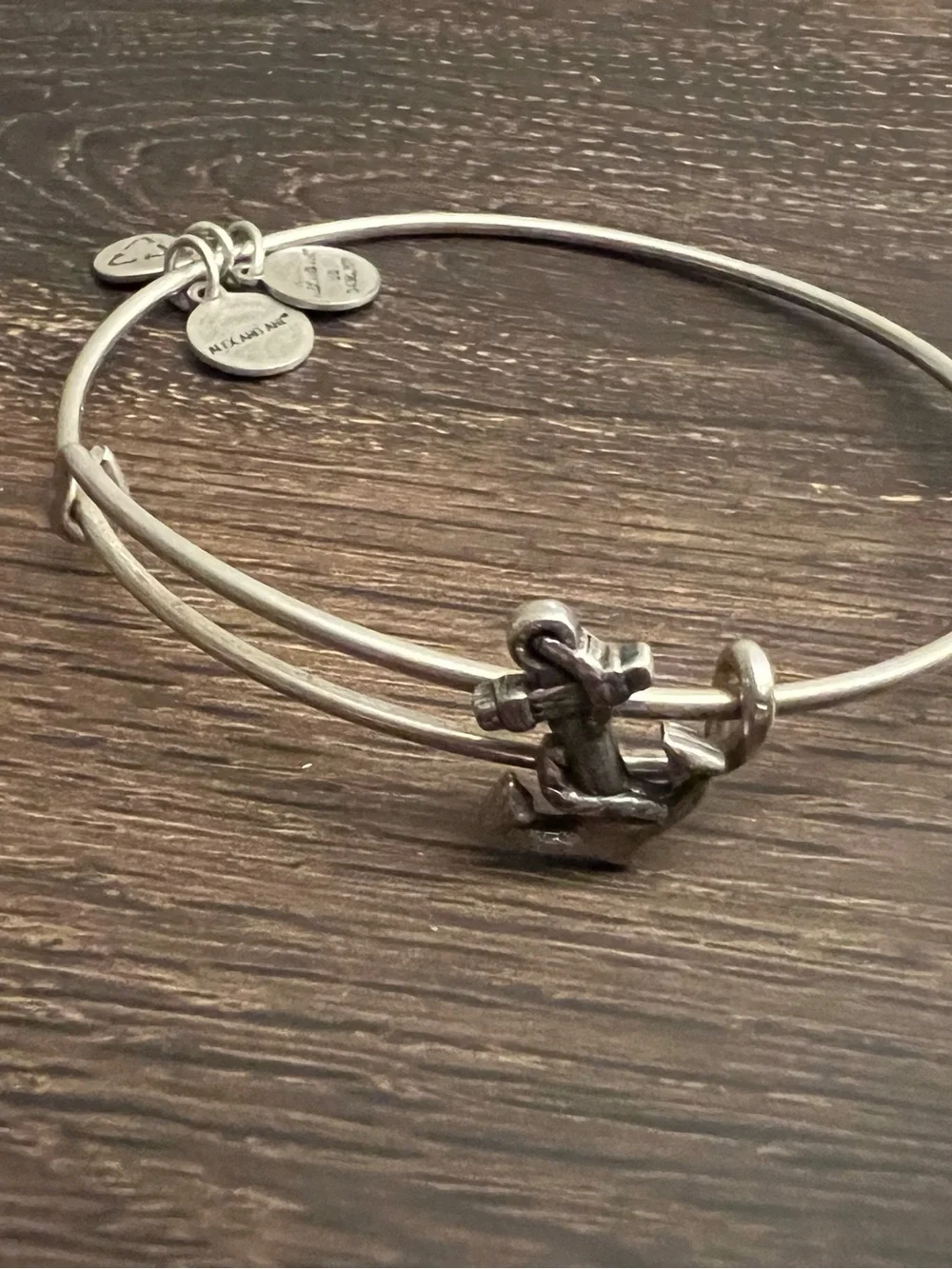 Alex and Ani Silver Tone Stackable Charm Bangle Bracelets Set of 9